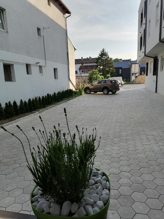 Apartman Stimac เวโทรวาราดิน ภายนอก รูปภาพ